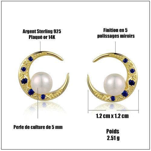 Boucles d' Oreilles Croissant de Lune Argent-Passion Steampunk